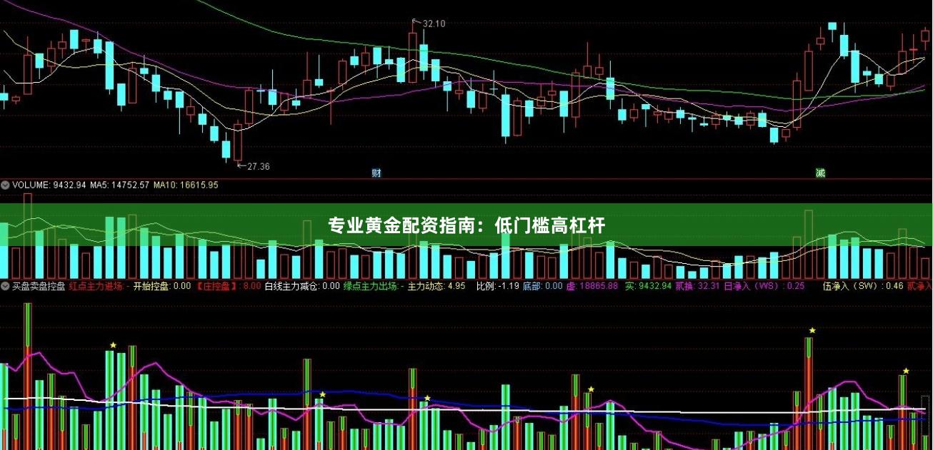 专业黄金配资指南：低门槛高杠杆